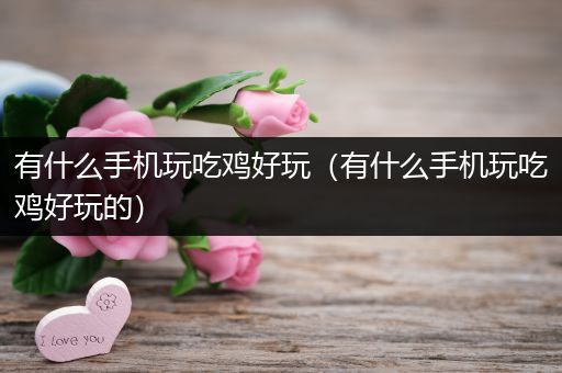 有什么手机玩吃鸡好玩（有什么手机玩吃鸡好玩的）