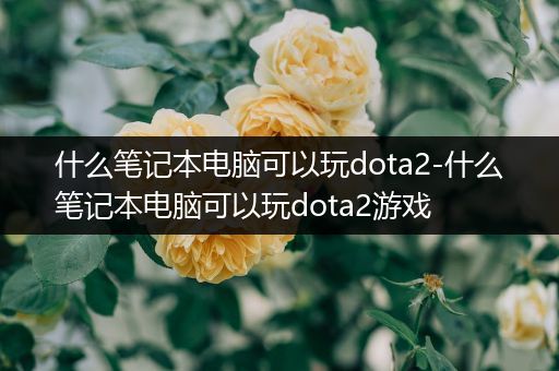 什么笔记本电脑可以玩dota2-什么笔记本电脑可以玩dota2游戏