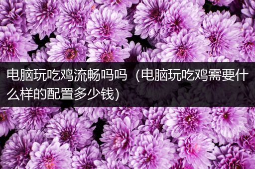 电脑玩吃鸡流畅吗吗（电脑玩吃鸡需要什么样的配置多少钱）