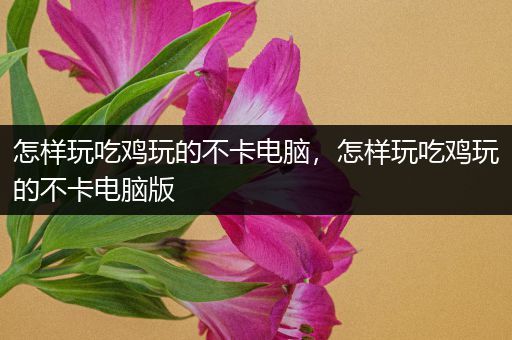 怎样玩吃鸡玩的不卡电脑，怎样玩吃鸡玩的不卡电脑版