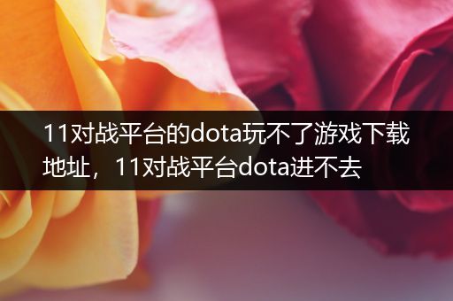 11对战平台的dota玩不了游戏下载地址，11对战平台dota进不去