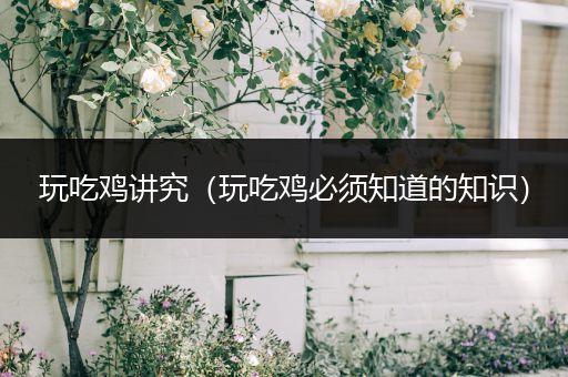 玩吃鸡讲究（玩吃鸡必须知道的知识）
