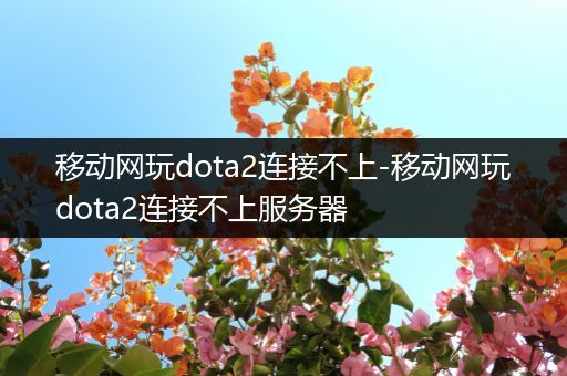 移动网玩dota2连接不上-移动网玩dota2连接不上服务器