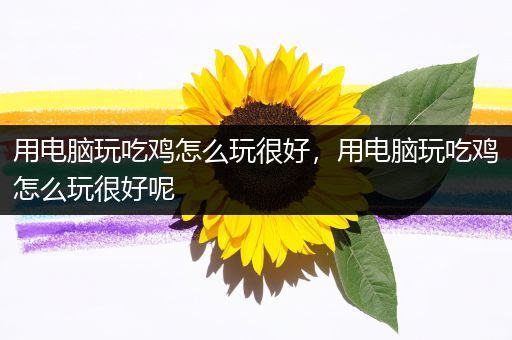 用电脑玩吃鸡怎么玩很好，用电脑玩吃鸡怎么玩很好呢