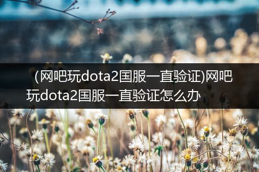 （网吧玩dota2国服一直验证)网吧玩dota2国服一直验证怎么办