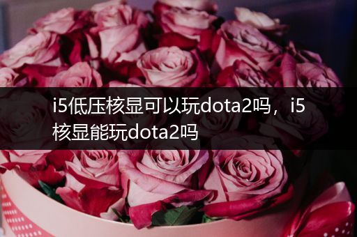 i5低压核显可以玩dota2吗，i5核显能玩dota2吗