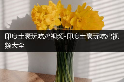 印度土豪玩吃鸡视频-印度土豪玩吃鸡视频大全