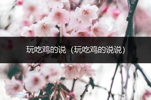 玩吃鸡的说（玩吃鸡的说说）