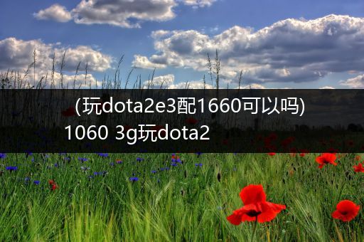 （玩dota2e3配1660可以吗)1060 3g玩dota2