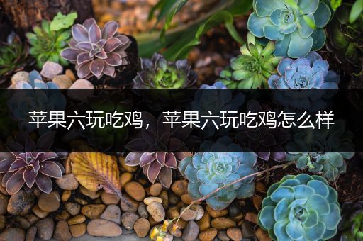 苹果六玩吃鸡，苹果六玩吃鸡怎么样