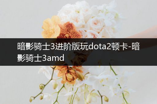 暗影骑士3进阶版玩dota2顿卡-暗影骑士3amd