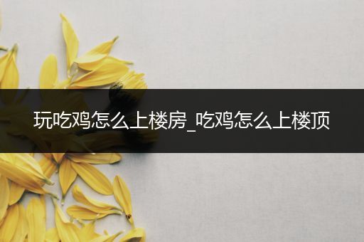 玩吃鸡怎么上楼房_吃鸡怎么上楼顶