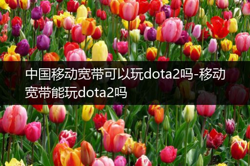 中国移动宽带可以玩dota2吗-移动宽带能玩dota2吗
