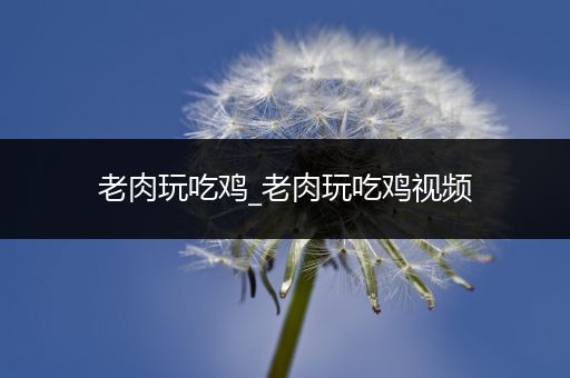 老肉玩吃鸡_老肉玩吃鸡视频