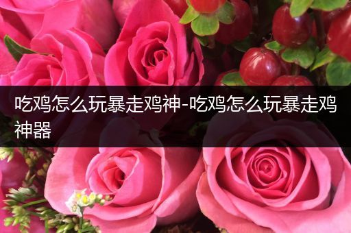 吃鸡怎么玩暴走鸡神-吃鸡怎么玩暴走鸡神器