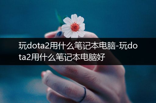 玩dota2用什么笔记本电脑-玩dota2用什么笔记本电脑好