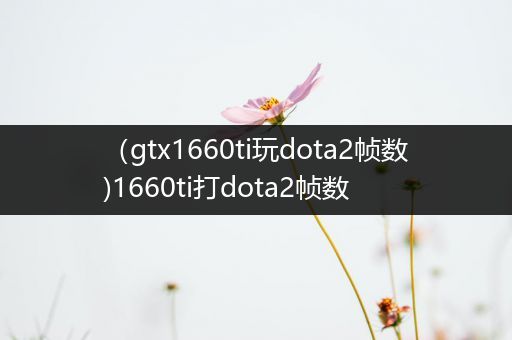 （gtx1660ti玩dota2帧数)1660ti打dota2帧数