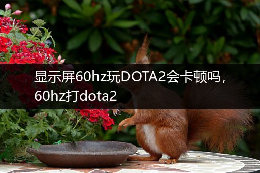显示屏60hz玩DOTA2会卡顿吗，60hz打dota2