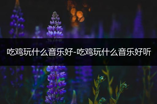 吃鸡玩什么音乐好-吃鸡玩什么音乐好听