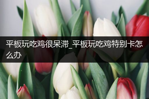 平板玩吃鸡很呆滞_平板玩吃鸡特别卡怎么办