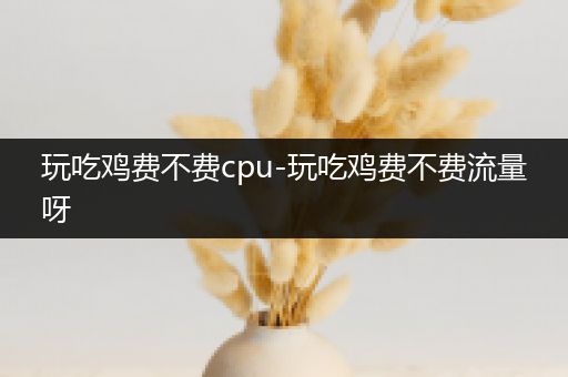 玩吃鸡费不费cpu-玩吃鸡费不费流量呀