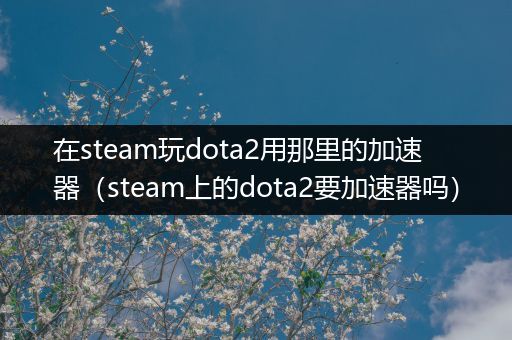 在steam玩dota2用那里的加速器（steam上的dota2要加速器吗）