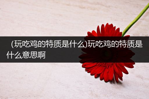 （玩吃鸡的特质是什么)玩吃鸡的特质是什么意思啊