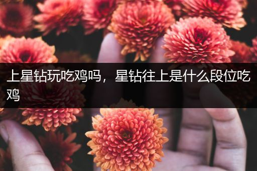 上星钻玩吃鸡吗，星钻往上是什么段位吃鸡