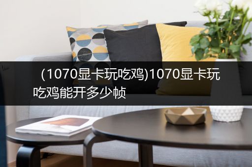 （1070显卡玩吃鸡)1070显卡玩吃鸡能开多少帧