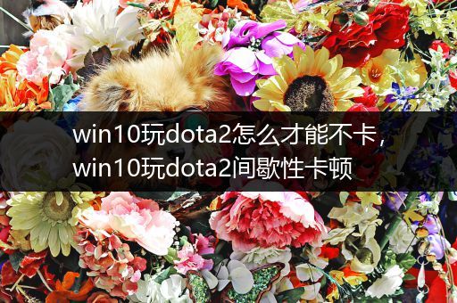 win10玩dota2怎么才能不卡，win10玩dota2间歇性卡顿