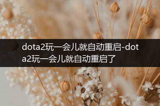 dota2玩一会儿就自动重启-dota2玩一会儿就自动重启了