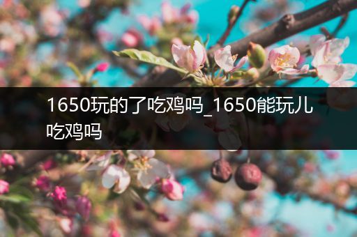 1650玩的了吃鸡吗_1650能玩儿吃鸡吗