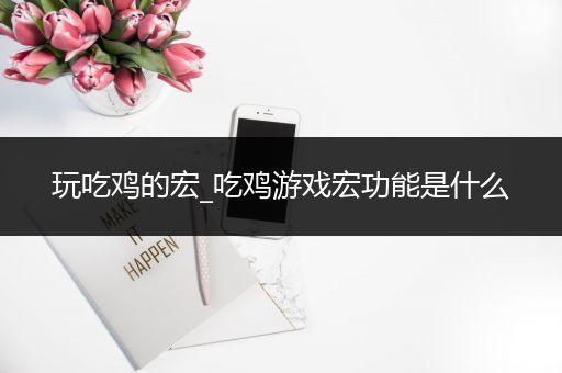 玩吃鸡的宏_吃鸡游戏宏功能是什么