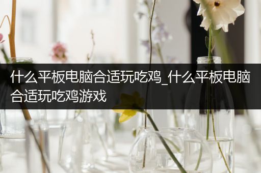 什么平板电脑合适玩吃鸡_什么平板电脑合适玩吃鸡游戏