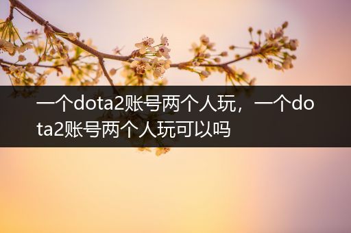 一个dota2账号两个人玩，一个dota2账号两个人玩可以吗