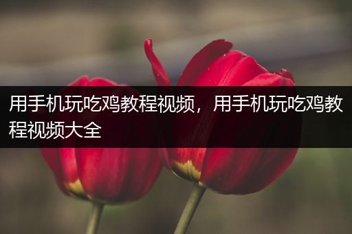 用手机玩吃鸡教程视频，用手机玩吃鸡教程视频大全