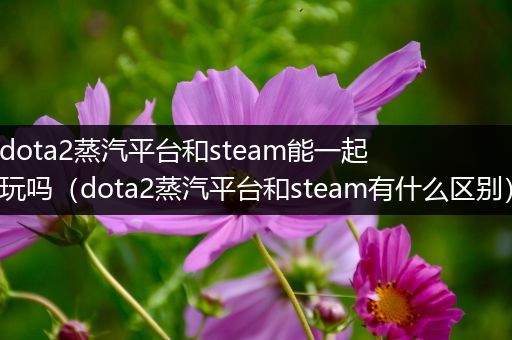 dota2蒸汽平台和steam能一起玩吗（dota2蒸汽平台和steam有什么区别）