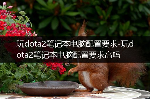 玩dota2笔记本电脑配置要求-玩dota2笔记本电脑配置要求高吗