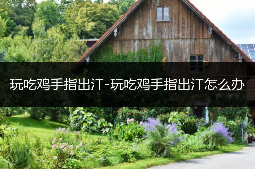 玩吃鸡手指出汗-玩吃鸡手指出汗怎么办