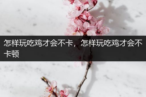 怎样玩吃鸡才会不卡，怎样玩吃鸡才会不卡顿