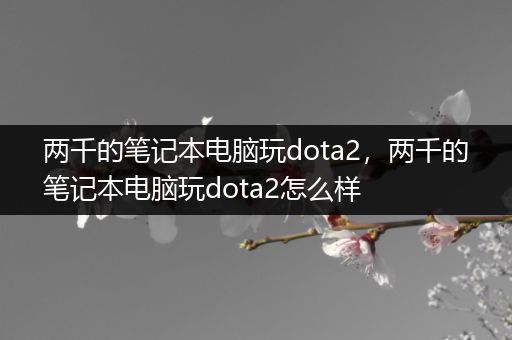 两千的笔记本电脑玩dota2，两千的笔记本电脑玩dota2怎么样