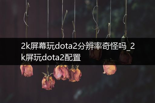 2k屏幕玩dota2分辨率奇怪吗_2k屏玩dota2配置