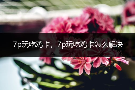 7p玩吃鸡卡，7p玩吃鸡卡怎么解决