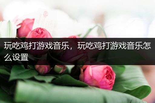 玩吃鸡打游戏音乐，玩吃鸡打游戏音乐怎么设置