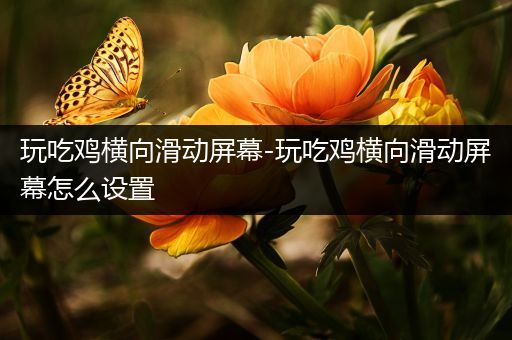 玩吃鸡横向滑动屏幕-玩吃鸡横向滑动屏幕怎么设置