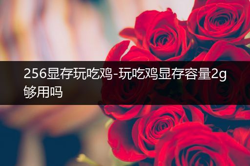 256显存玩吃鸡-玩吃鸡显存容量2g够用吗
