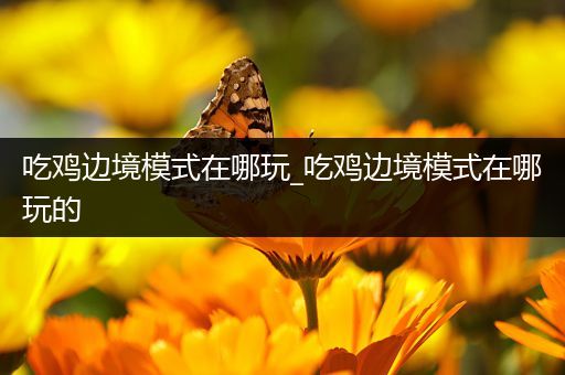 吃鸡边境模式在哪玩_吃鸡边境模式在哪玩的