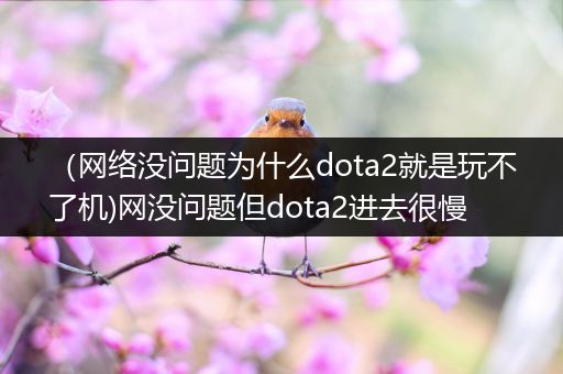 （网络没问题为什么dota2就是玩不了机)网没问题但dota2进去很慢