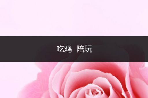 吃鸡  陪玩