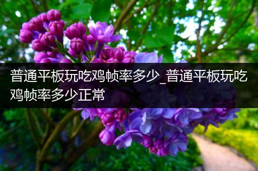 普通平板玩吃鸡帧率多少_普通平板玩吃鸡帧率多少正常